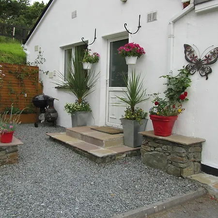Montbretia At Connemara * Letterfrack