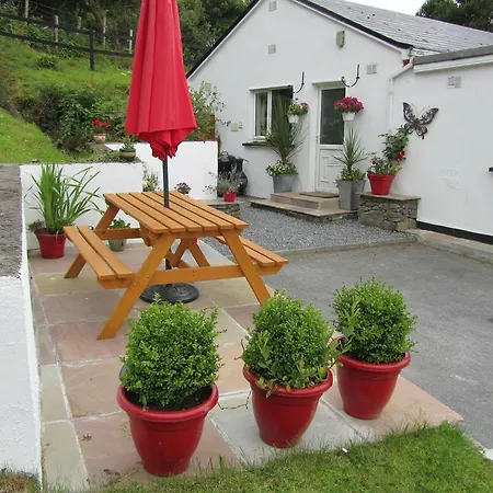 Montbretia At Connemara Letterfrack